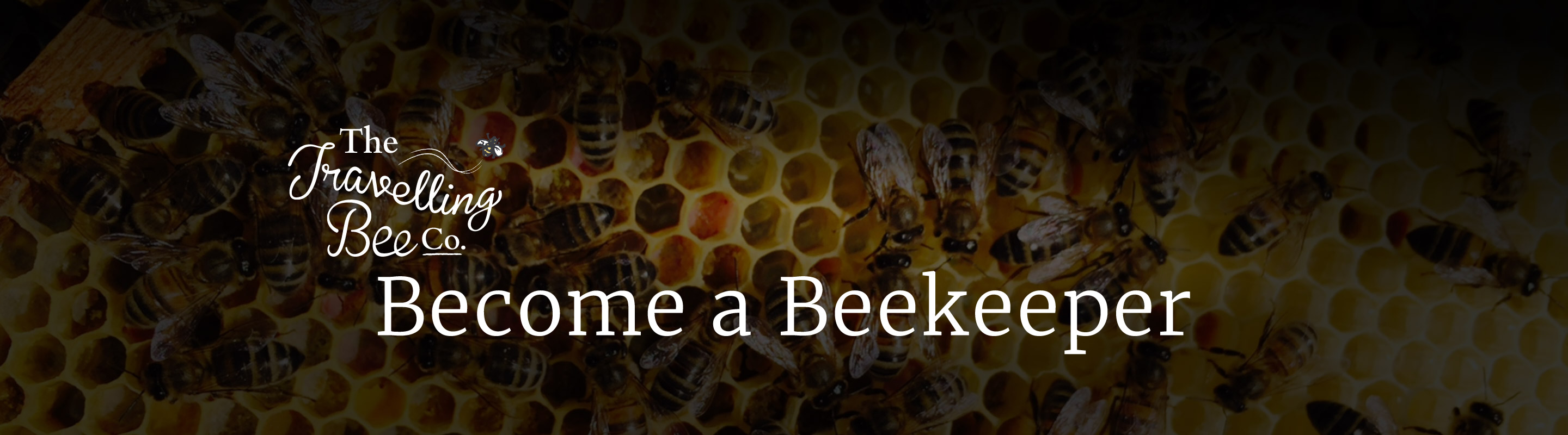 The Travelling Bee Company - Become a Beekeeper